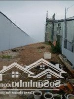 Bán Dùm Chị Gái Đất, 550 Triệu/120M2,Đ.nguyễn Văn Tốt,T.t Cái Bè, Cái Bè,Tiền Giang,Sát Thpt Cái Bè,Shr