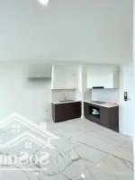 11, 5 Triệu Giá Tốt Nhất Thị Trường Sunshine Sky City Quận 7, 2 Phòng Ngủ 2 Vệ Sinh 74M2