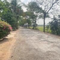 218m2 mặt tiền nhựa, dân cư đông. Gần KCN. Giá 900tr