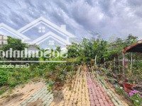 Bán Đất Xd Nhà Vườn 2500M2 Có 500M2 Tc Bán 29 Tỷ Có Sẵn Nhà Vườn Ao Cá Đường Xe Hơi Bank Cho Vay