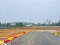 Bán Đất Đồng Vàng, Xã Phùng Xá, Thạch Thất, Hà Nội, 55 Triệu, 60M2 - Uy Tín Hot!