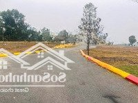 Bán Đất Đồng Vàng, Xã Phùng Xá, Thạch Thất, Hà Nội, 55 Triệu, 60M2 - Uy Tín Hot!