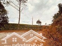 Bán Đất 250M2 Tại Lộc An, Bảo Lâm, Lâm Đồng, Giá Tốt 1,5 Tỷ