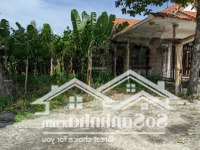 Tôi Có 5 Nền Tđc Phước Khánh Dt: 7X22M Thổ Cư 100% Sổ Hồng Riêng Đường Nhựa 15M Giá Giảm 10%