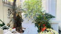 Biệt Thự Lô Góc Thiết Kế Sang Trọng - Vị Trí Đẹp - Dòng Tiền Ổn Định Kđt Hà Quang 2 - Nha Trang