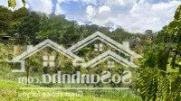 Chuyển Đổi Kinh Doanh Cần Vốn, Nhượng Lại 8.600M2 (8 Sào 6) Thị Trấn Nam Ban, Ven Tp Đà Lạt