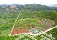 Chuyển Đổi Kinh Doanh Cần Vốn, Nhượng Lại 8.600M2 (8 Sào 6) Thị Trấn Nam Ban, Ven Tp Đà Lạt
