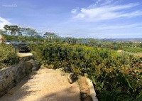 Chuyển Đổi Kinh Doanh Cần Vốn, Nhượng Lại 8.600M2 (8 Sào 6) Thị Trấn Nam Ban, Ven Tp Đà Lạt