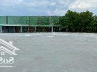 Cho Thuê Nhà Xưởng 3500M , Trạm Điện 800Kva Pháp Lý Đầy Đủ - Giá 100 Triệu/Tháng Tại Phước Tân,