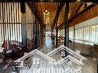 Cho Thuê Nhà Vườn Khu Nam Long Quận 7