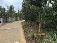 Siêu Hot ! Chưa Tới 550 Tr/ 1000 M Sở Hữu Ngay Đất Mê Linh Sát Cạnh Đà Lạt. Sẵn Nhà Vườn Đầy Đủ