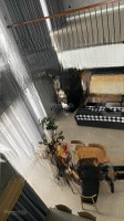 Bán Penhouse Tsg Lotus Sài Đồng, 22,5 Tỷ, 382,5M2, 5 Phòng Ngủ 5 Vệ Sinh Pháp Lý Đầy Đủ, Hot!
