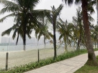 Biệt Thự Hải Âu - View Biển Ocean Park - Kinh Doanh -Diện Tích275M2 -Mặt Tiền12M - Giá Bán 85 Tỷ - Gia Lâm