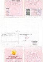 Siêu Hot!Bán 10 Lô Đất Mặt Tiền Đường Trần Phú, P.lộc Tiến, Tp.bảo Lộc Tiềm Năng Sinh Lời Cao