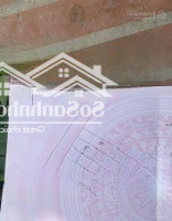 Bán Đất Tại Xã Vân Tảo, Thường Tín, Hà Nội, 3,9 Tỷ, 63 M2, Giá Ưu Đãi