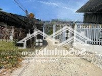 Cơ Hội Cuối Cùng Sở Hữu Đất Dân Cam Tân Giá Dưới 1 Tỷ!