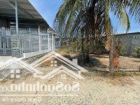 Cơ Hội Cuối Cùng Sở Hữu Đất Dân Cam Tân Giá Dưới 1 Tỷ!