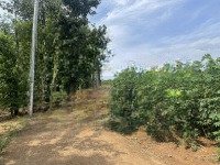 Lên Lô Đất Siêu Đẹp. Gần 1 Mẫu 120M Mặt Tiền Tại Lâm San Cẩm Mỹ. Giá Chỉ 6Tỷ5