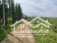 Lên Lô Đất Siêu Đẹp. Gần 1 Mẫu 120M Mặt Tiền Tại Lâm San Cẩm Mỹ. Giá Chỉ 6Tỷ5