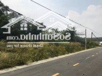 Bán 1 Ha Đất Skc Đã Chuyển Đổi Đóng Tiền Hàng Năm Xã Long Nguyên Huyện Bàu Bàng Bình Dương