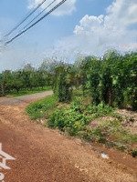 Bán 1 Ha Đất Skc Đã Chuyển Đổi Đóng Tiền Hàng Năm Xã Long Nguyên Huyện Bàu Bàng Bình Dương