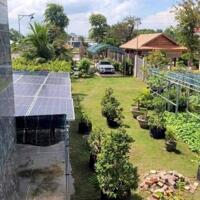 Bán đất gần biển long hải chợ mới thích howpk làm nhà vườn, home stay nghĩ dưỡng và đầu tư 2025