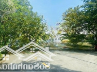 Hạ Giá Còn 156 Triệu/M2 Đất Biệt Thự Khu Compound Đường Trần Não Gần Sông, Quận 2Diện Tích11X29 320M2 50Tỷ