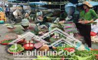 Bán Đất Kế Bên Chợ Việt Kiều, Củ Chi, 5X30M Khu Dân Cư Kinh Doanh Sầm Uất, Sổ Sẵn