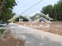 Cần Tiền Gấp Bán Giá Sốc Chỉ Trong Tuần, 250M2 Giá Chỉ 400 Triệu