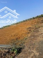 Chính Chủ Bán Gắp 1,5 Tỷ - Đất Nền Đường Nguyễn Trãi, P2, Tp.bảo Lộc 131,2 M2