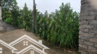 Lô Đất 2 Mặt Tiền Trước Sau, Mỗi Mặt 8M Tản Lĩnh, Ba Vì, Hn. Cách Tl87A Chỉ 500M, Gần Mọi Tiện Ích