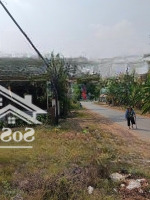 Hàng Hiếm Tại Chà Là, Tây Ninh, Giá Chỉ 3Xx, 124.1M2 Liên Hệ 0982383839