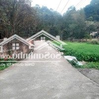 Cần Bán Gấp Đất Nở Hậu Trung Tâm Thành Phố Lào Cai