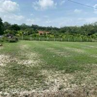 Chủ gửi bán nhanh lô đất góc 2 mặt tiền  Cao Thị Đậu xã Phú Mỹ Hưng Củ Chi