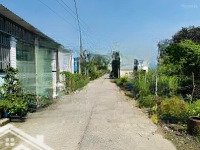 Ngộp Bán Nhanh Lô Đất 250M2 Ở 1/ Ql22 - Xã Tân Thông Hội Củ Chi - Giá: 2 Tỹ Chẵn - Liên Hệ: 0335801717