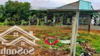 Ngộp Bán Nhanh Lô Đất 250M2 Ở 1/ Ql22 - Xã Tân Thông Hội Củ Chi - Giá: 2 Tỹ Chẵn - Liên Hệ: 0335801717