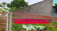 Ngộp Bán Nhanh Lô Đất 250M2 Ở 1/ Ql22 - Xã Tân Thông Hội Củ Chi - Giá: 2 Tỹ Chẵn - Liên Hệ: 0335801717