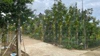 Đất Đồi Chà Đang Xóm Hợp Lý, Xã Bảo Hiệu