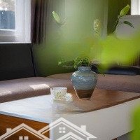 Cho Thuê Villa 11 Phòng Ngủ 12 Vệ Sinh 400M2 Tại Phường 8, Đà Lạt Giá Bán 45 Triệu Thương Lượng