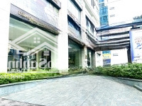 Cho Thuê Văn Phòng Và Mbkd Tại Tòa Nhà Hoàng Cầu Skyline 36 Hoàng Cầu 350M2 - 1000M2