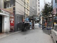 Cần Tiền Bán Gấp Mảnh Đất Tặng Mặt Bằng Kinh Doanh Đnag Cho Thuê Tại Tdp Cửu Việt, Trâu Quỳ