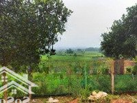Bán Lô Đất 1080M Có 150M Thổ Cư. Tại Ba Vì Hà Nội. Giá Chỉ Nhỉnh 2 Tỷ