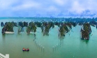 Bán Cc Xanh Island Cát Bà, Giá Siêu Hời Chỉ Với 1.9X Tỷ, Diện Tích 30,9M2