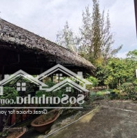 Nhà Vườn Nghỉ Dưỡng 681/1000M2 (12.8X70), 15 Tỷ Tl. Hẻm 1/ Bưng Ông Thoàn, Phú Hữu, Q9 Thủ Đức