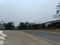 Độc Quyền Bán Cây Xăng Trên Đường Hồ Chí Minh, Cơ Hội Đầu Tư - Sinh Lời Không Nên Bỏ Qua