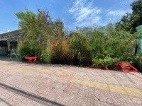 Mặt Tiền Duyên Hải, Thị Trấn Cần Thạnh 385M2 Gần Dự Án Lấn Biển