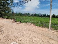 184M2 Đất Thổ Cư Đường 7M Giá Chỉ 1 Tỷ 050 Triệu/ Shr | 0915.852.991