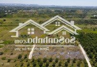 Đất Thổ Cư Ở Đô Thị Cam Nghĩa - Cam Ranh, Đường Bê Tông Quy Hoạch 16M, Pháp Lý Sổ Đỏ