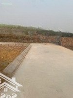Bán Đất Tân Minh, Sóc Sơn, Gần Trường Đua Ngựa, Diện Tích 86M2, Mt=Hậu 8M, Đường Thông 4M