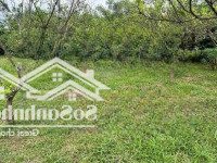 Bán Lô Đất Để Làm Nghỉ Dưỡng, Sẵn Sổ Hồng, Giá Rẻ Nhất Thị Trường Vị Trí Đẹp, Chủ Cần Gấp